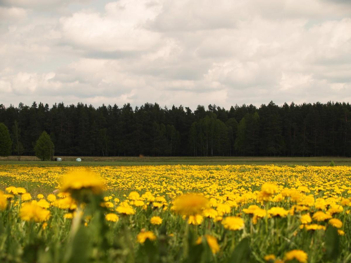 Biebrza24 - Agroturystyka Sztabin エクステリア 写真