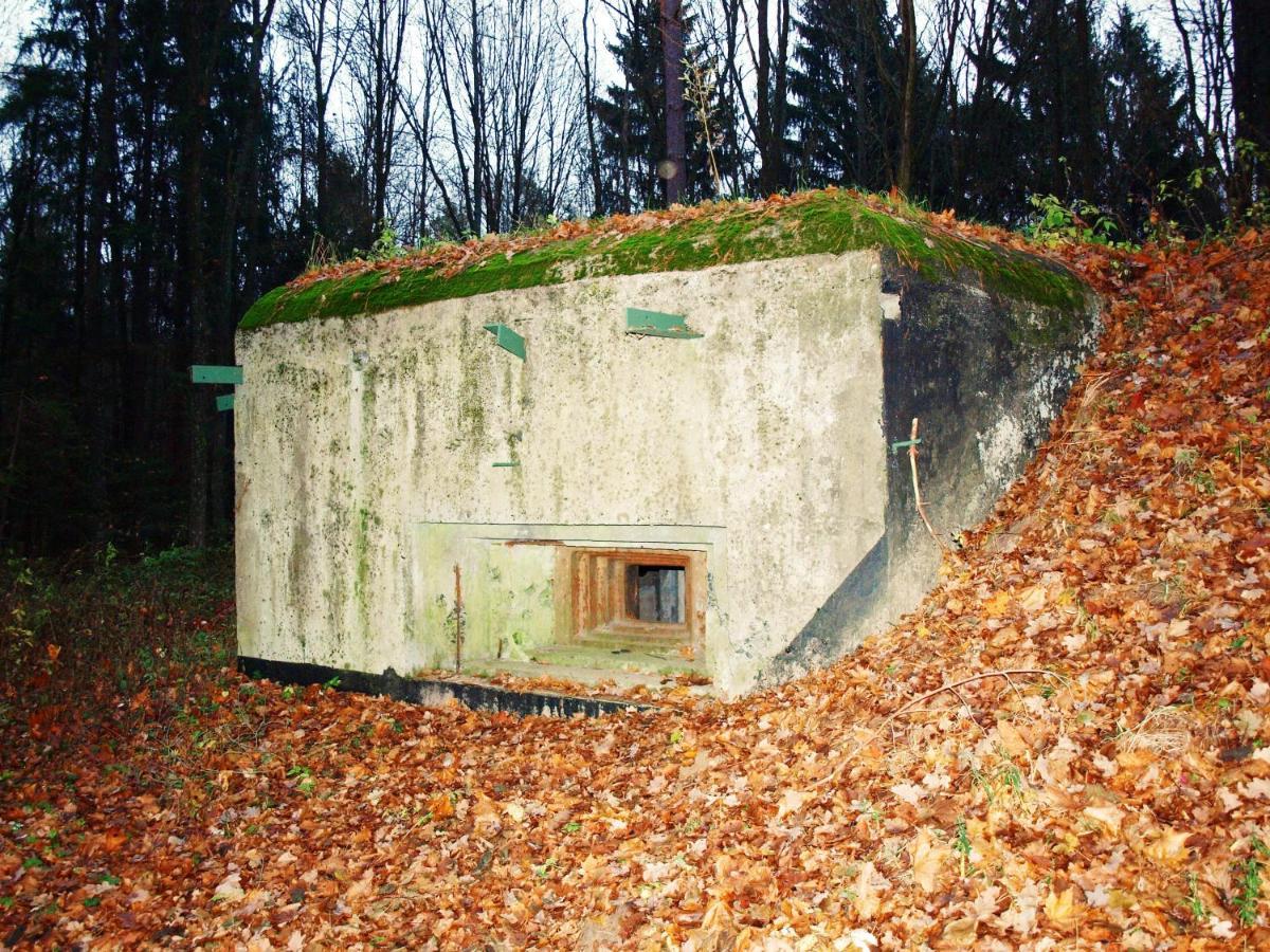 Biebrza24 - Agroturystyka Sztabin エクステリア 写真