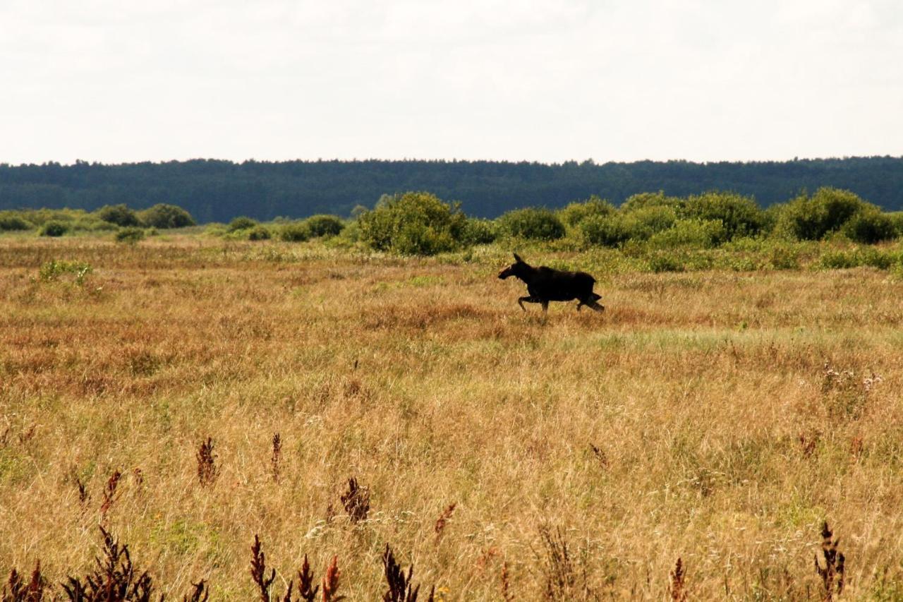 Biebrza24 - Agroturystyka Sztabin エクステリア 写真