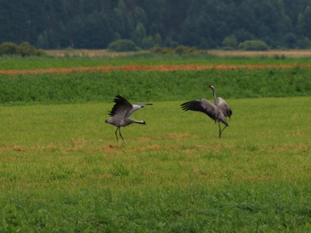 Biebrza24 - Agroturystyka Sztabin エクステリア 写真