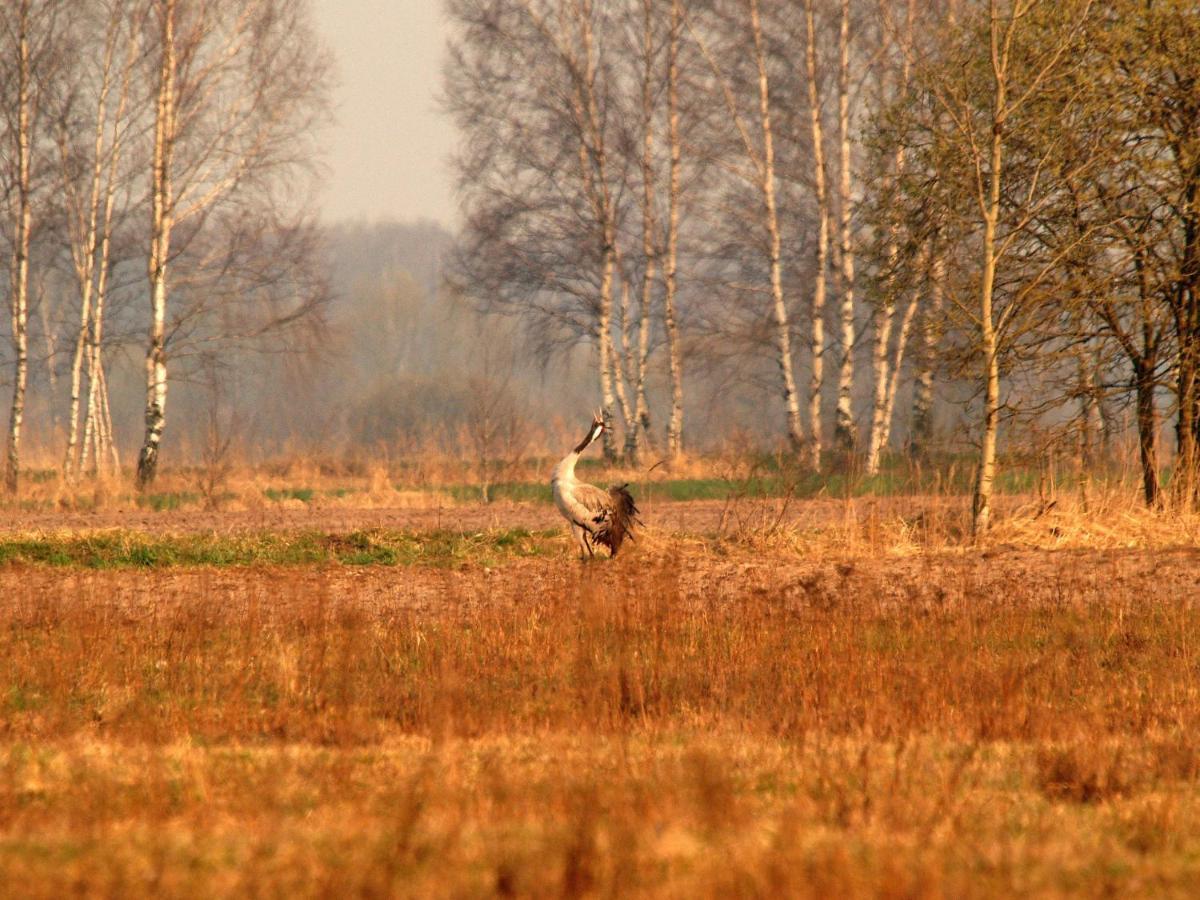 Biebrza24 - Agroturystyka Sztabin エクステリア 写真
